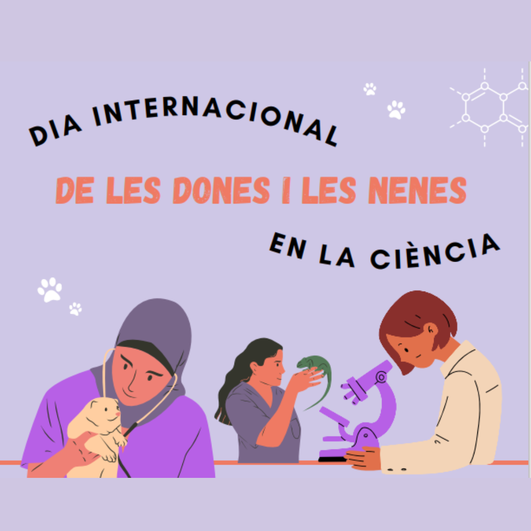 portada exposici